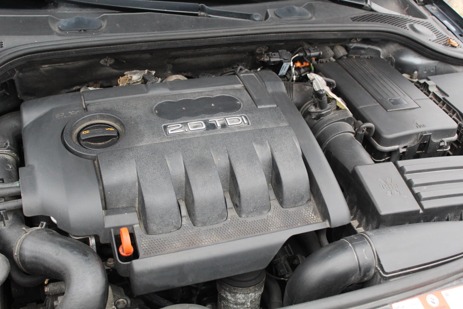 Audi A3 (2007) — 11/11